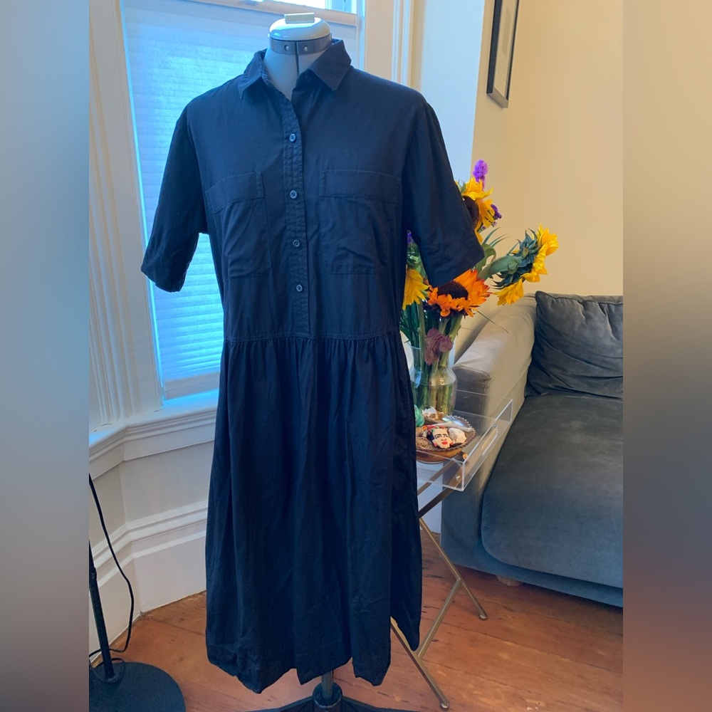 Everlane Parklet Shirt Dress